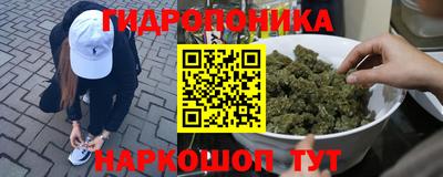 амфетамин Новодвинск