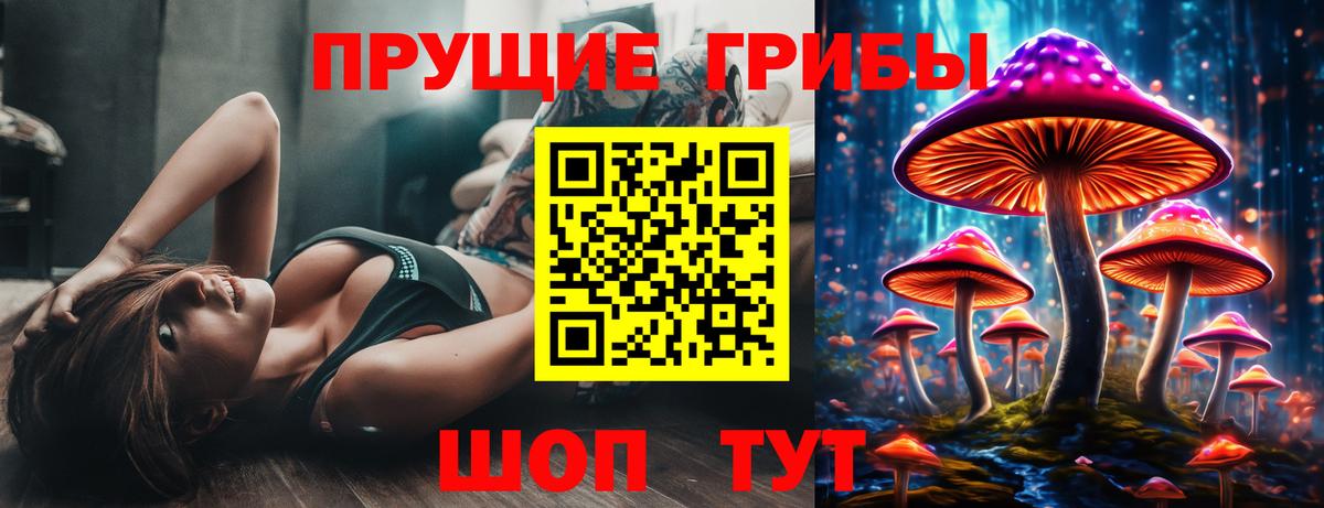 Псилоцибиновые грибы мицелий Тулун